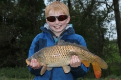 May 2013 saw Hayden Sharp amongst the carp at Alvechurch 1 including this nice common.